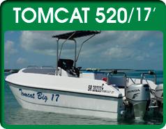 Tomcat 520