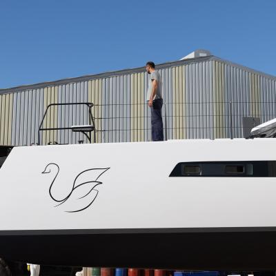 Balance 580 Swann