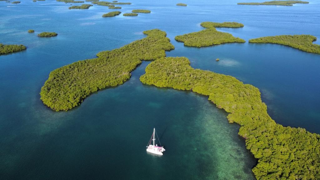 Bocas del toro indigo