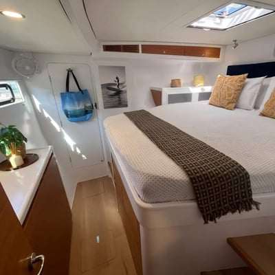 Cannes 2026 balance catamarans d2