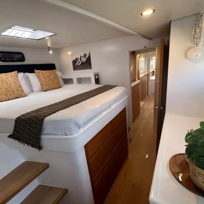 Cannes 2026 balance catamarans d2