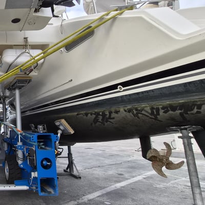 catana 55