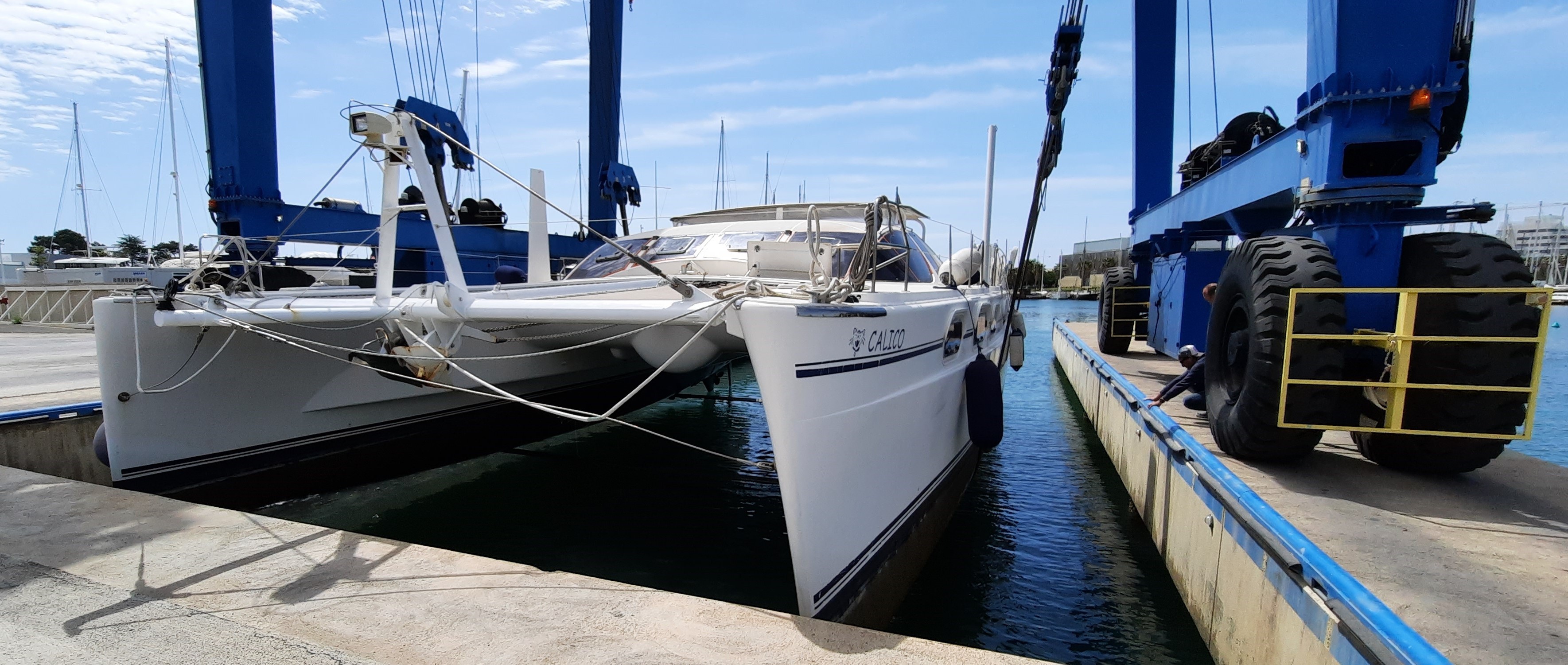 Catana 581 calico