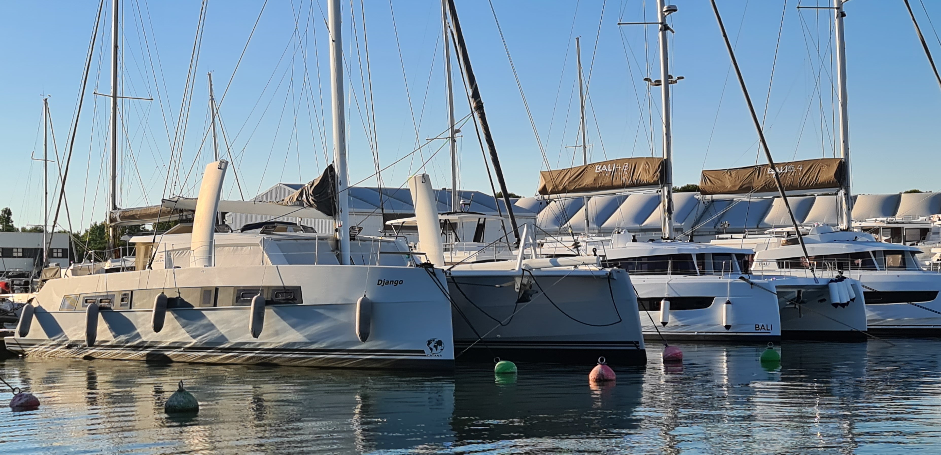 Catana bali