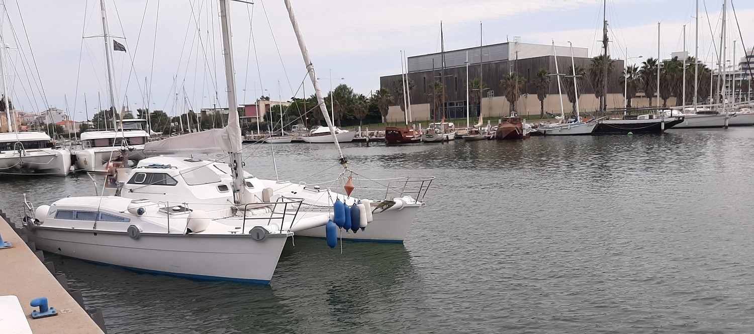 catamaran edel 33