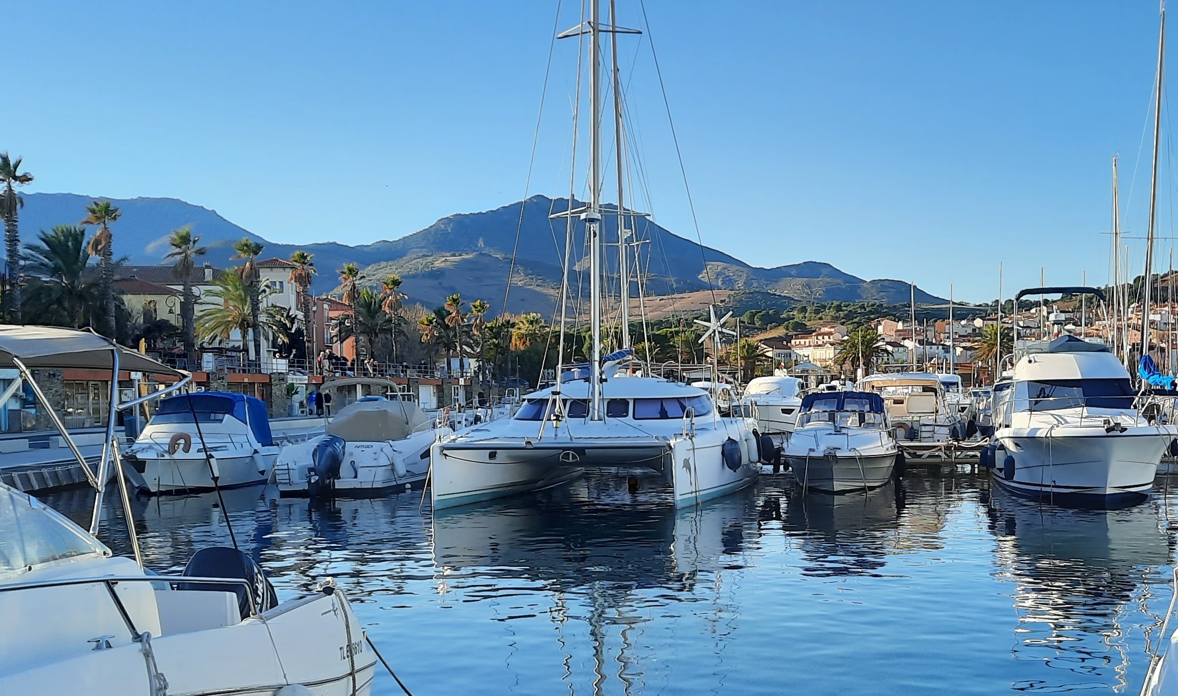 Lavezzi 40 banyuls sur mer