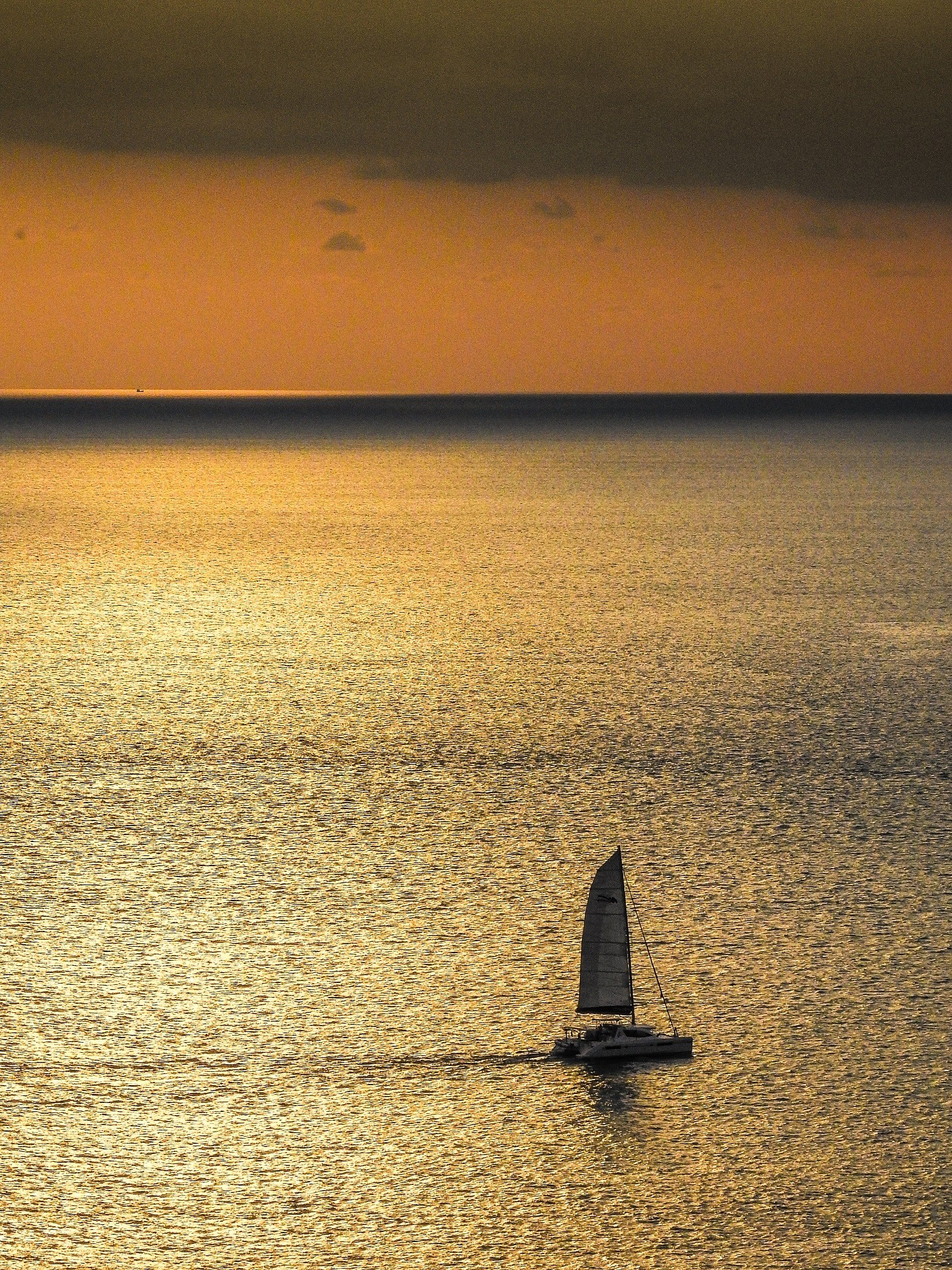 Leopard catamarans