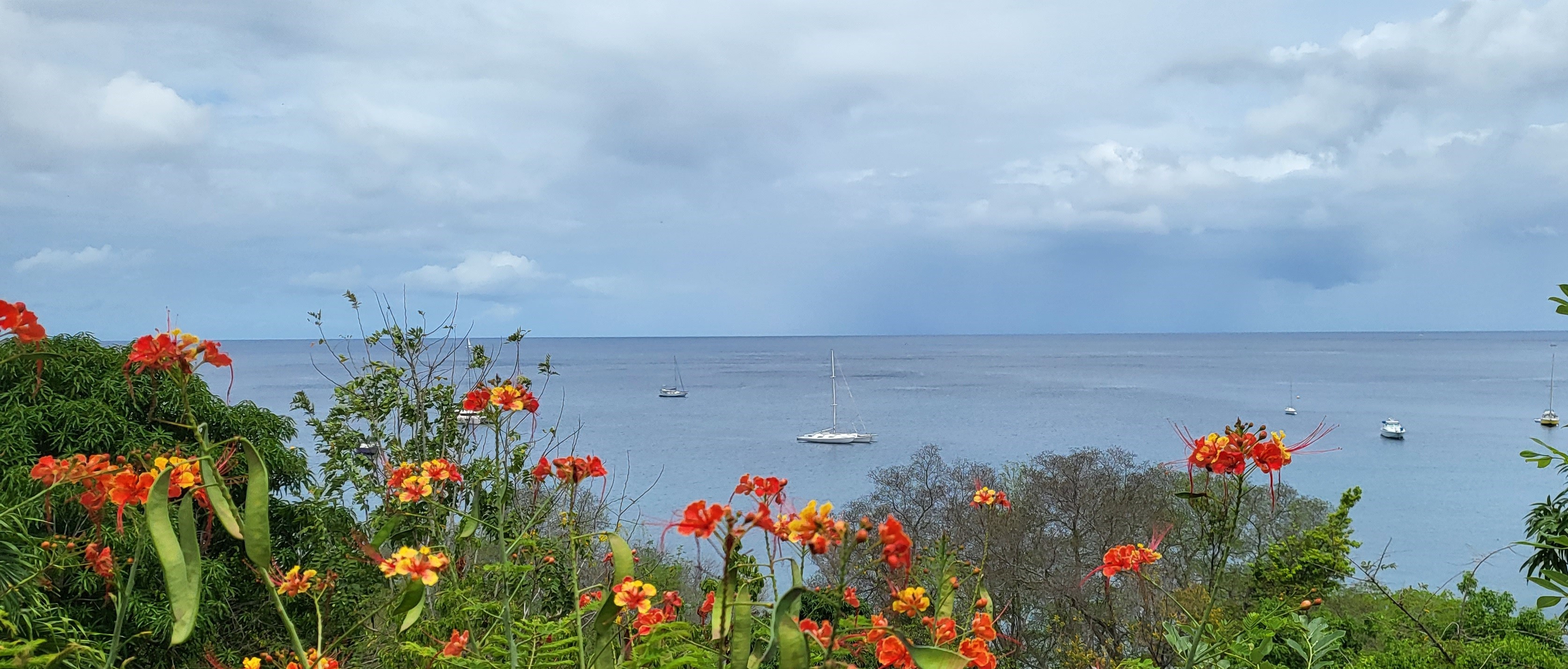 Mouillage en martinique