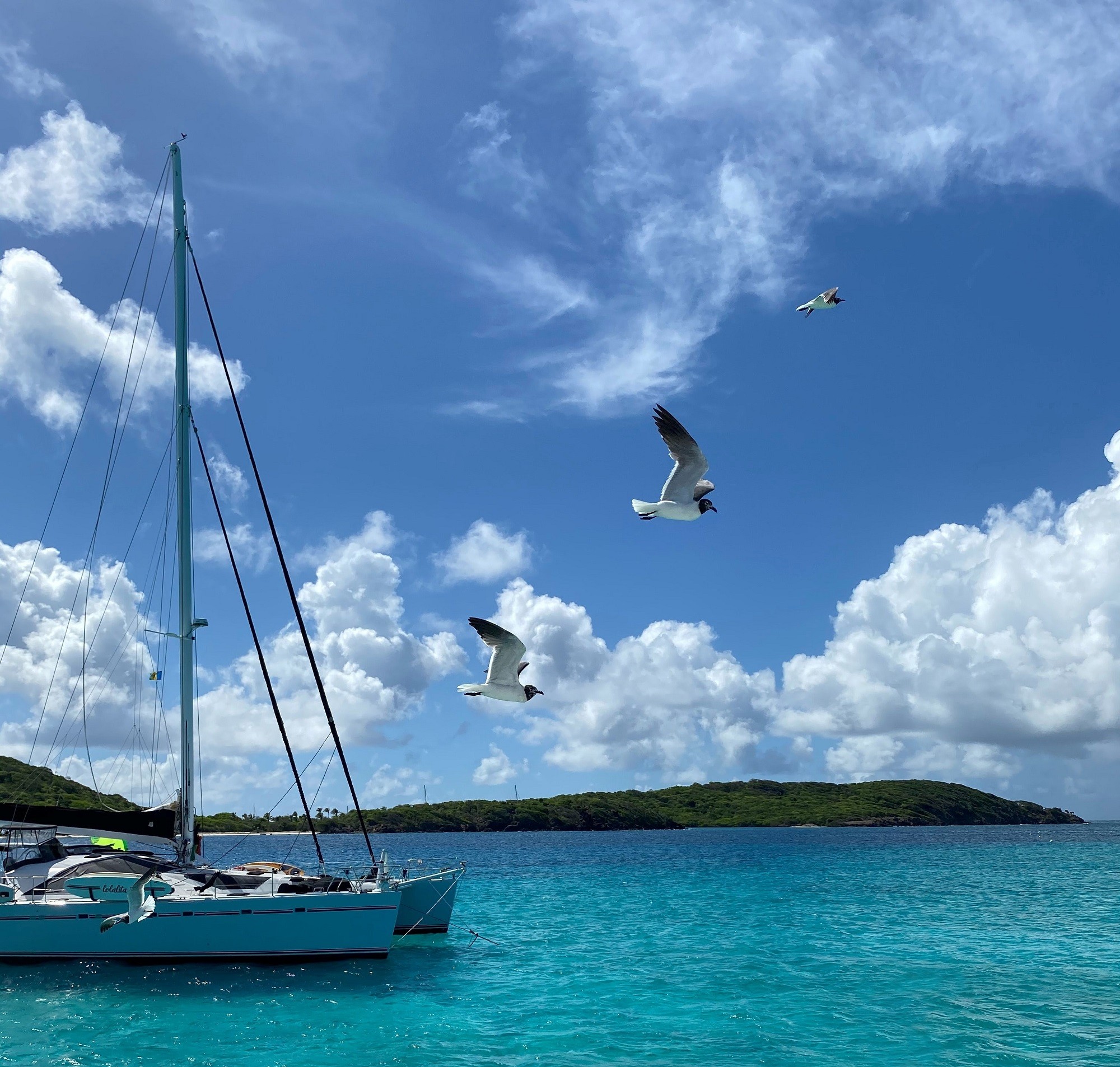 North mayreau channel saint vincent et les grenadines
