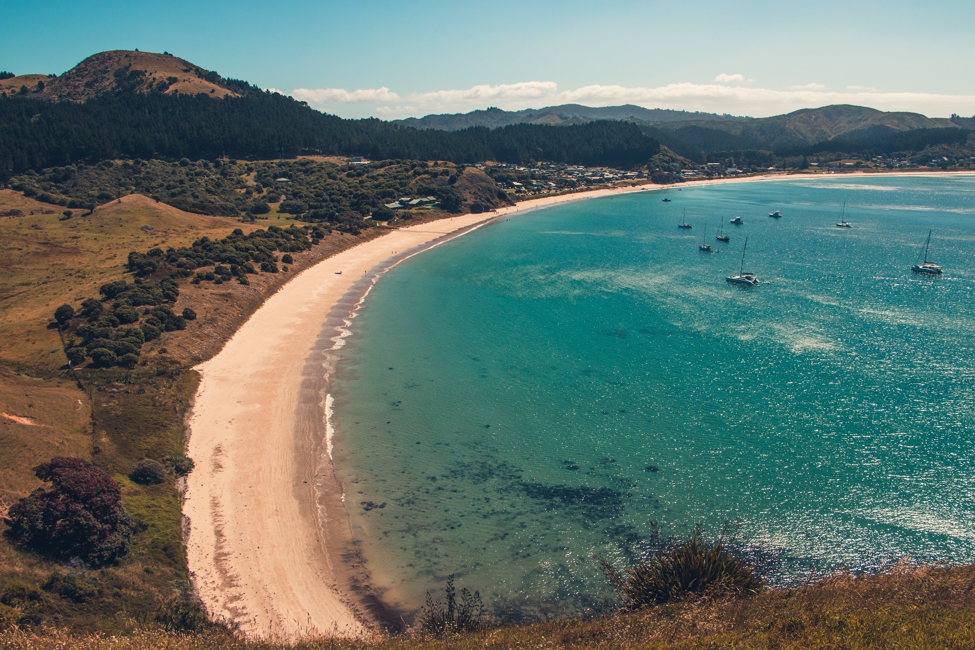 Opito bay new zealand