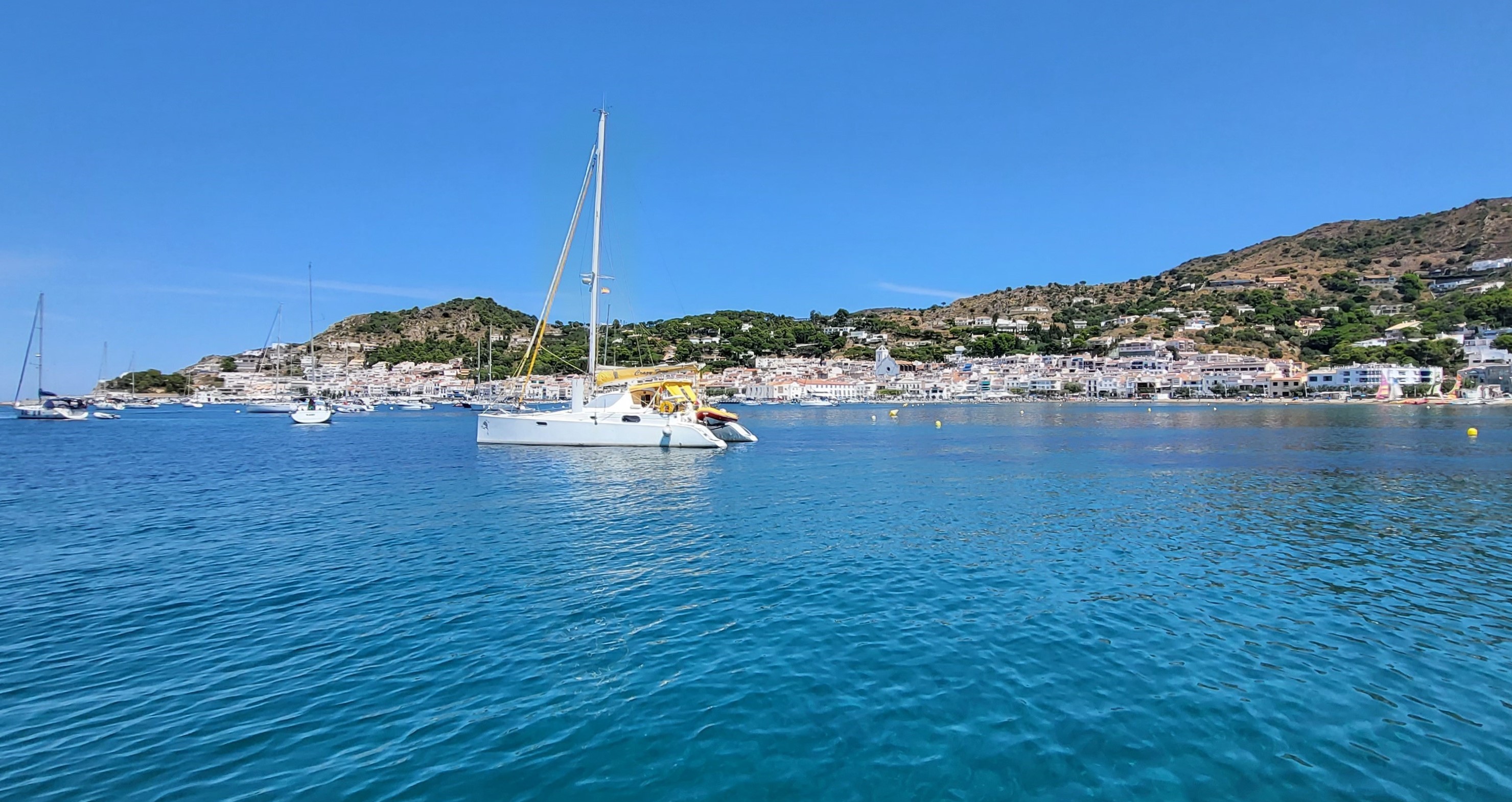 Phisa 42