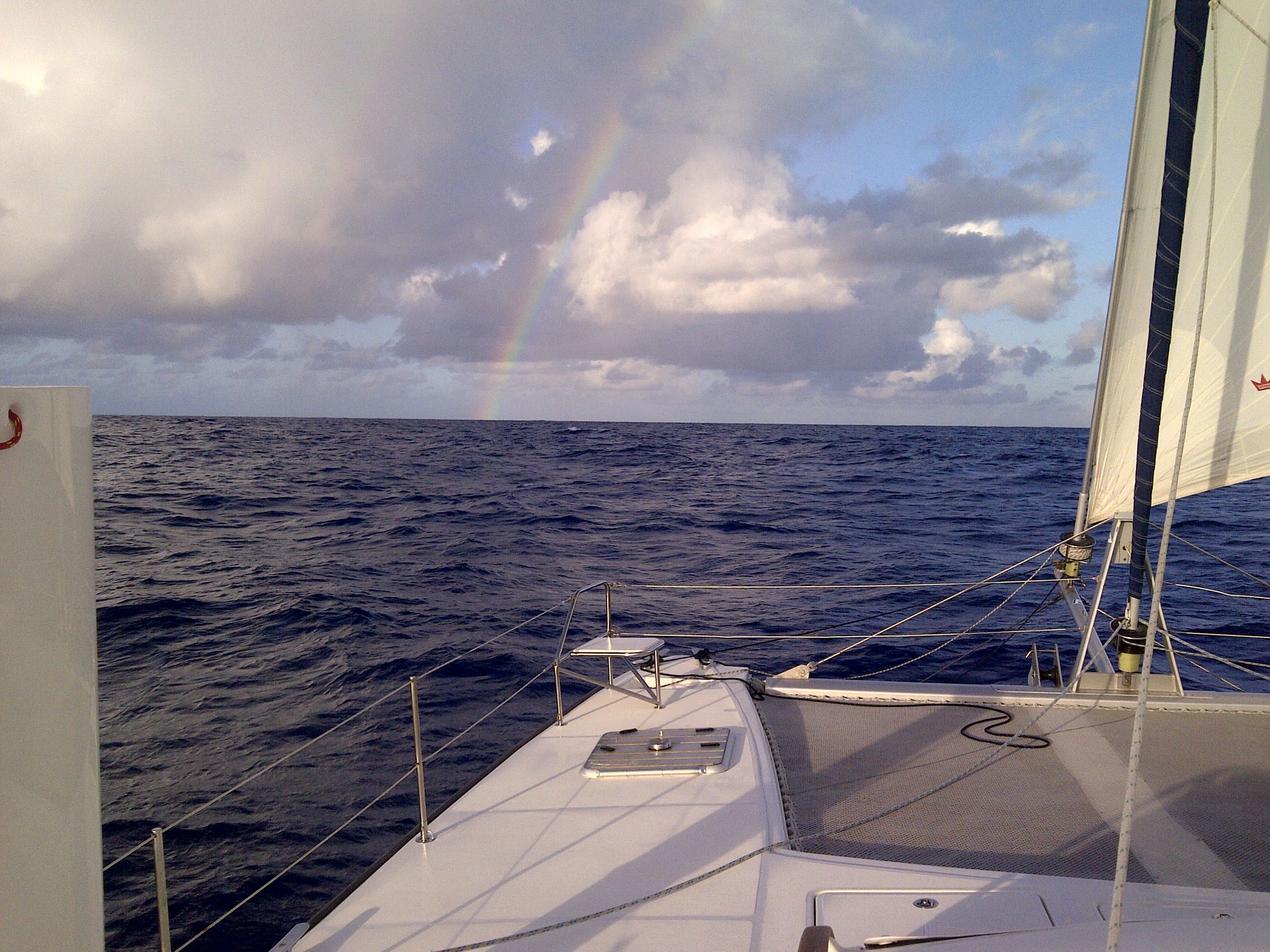Rainbow catana 431