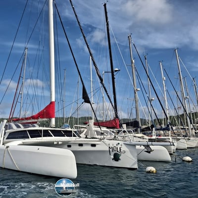 Rapido 53 XS