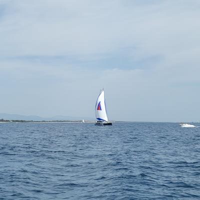 Windelo 50 Yachting
