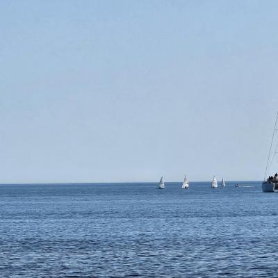 A sunny day in collioure