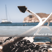 A world of sailor 1