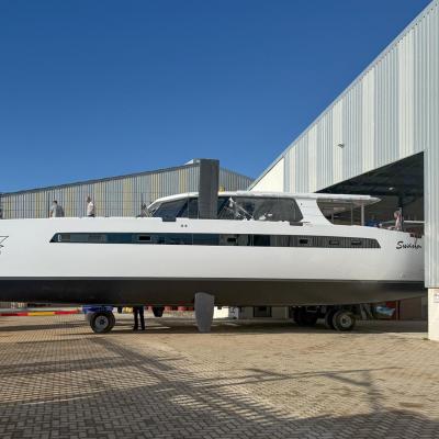 Balance 580 swann