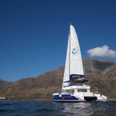 Balance 690 Day Charter Catamaran