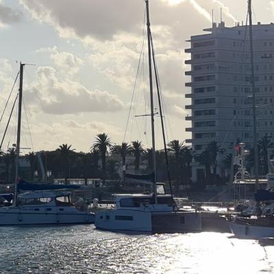 Bizerte marina