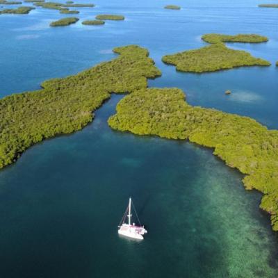 Bocas del toro indigo