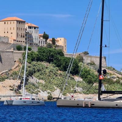 Calvi and its medieval city