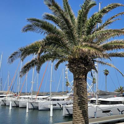Canet en roussillon june 2025