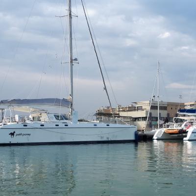 Catana 42s catana 531