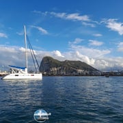 Catana 431 52 