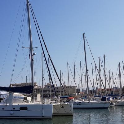 Catana 431