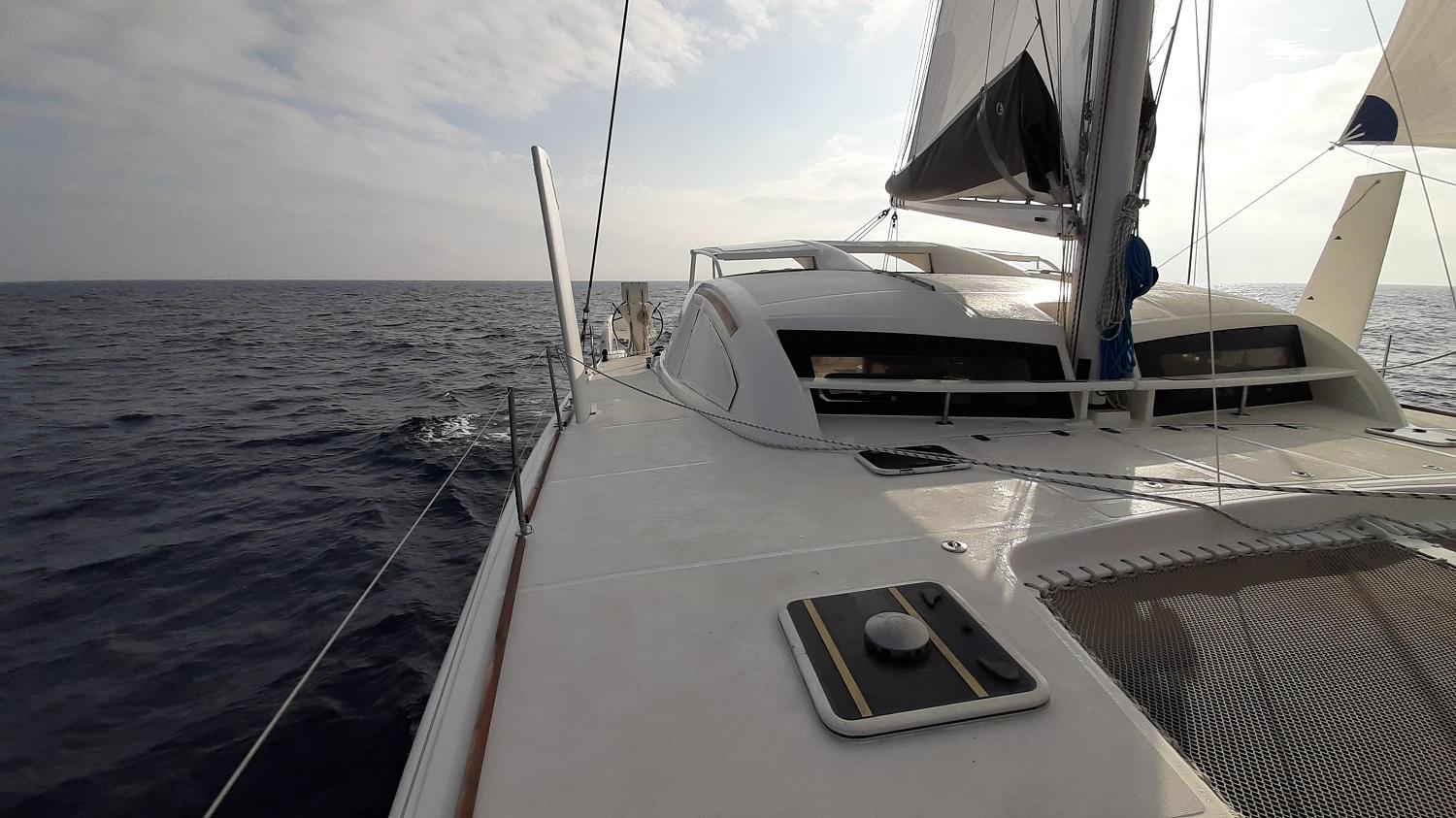 Catana 50 zan