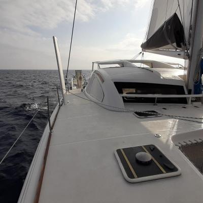 Catana 50 zan