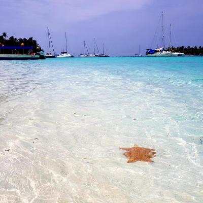 Chichime isla san blas panama