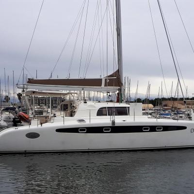 Dolphin 460