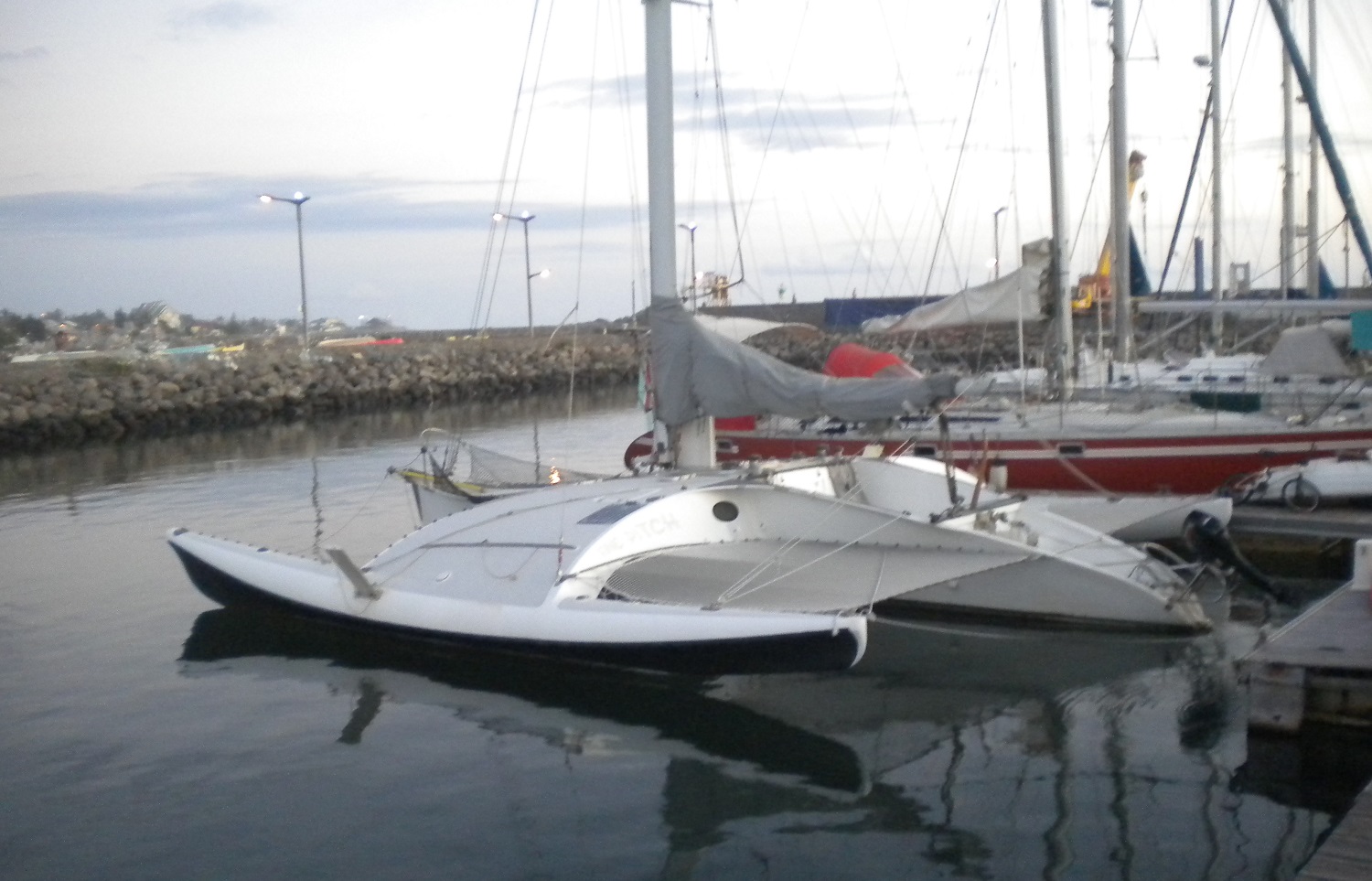 newick echo trimaran for sale