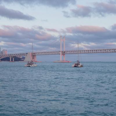 Gwangalli beach gwangan bridge busan