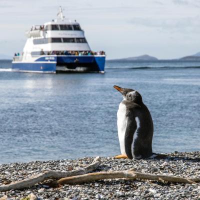 Hammer island ushuaia argentina