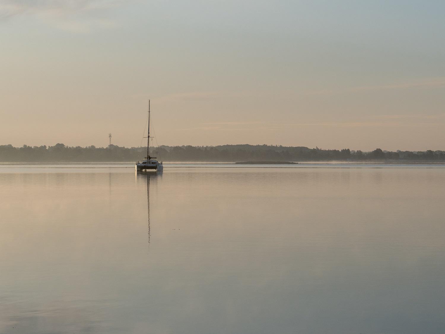 Holb k danmark