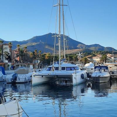 Lavezzi 40 banyuls sur mer