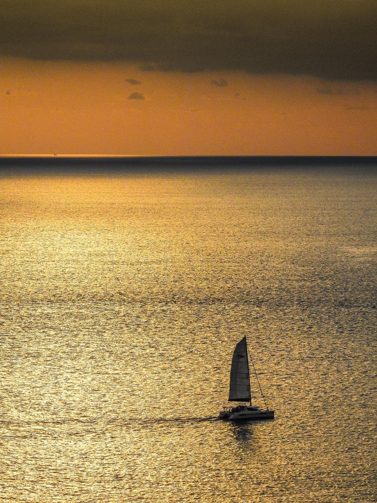 Leopard catamarans