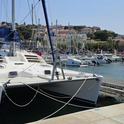 Leopard in banyuls