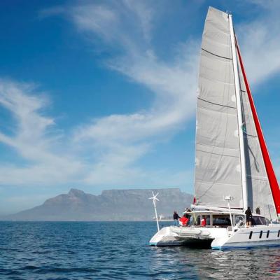 M60 Full Carbon High Performance Sailing Catamaran