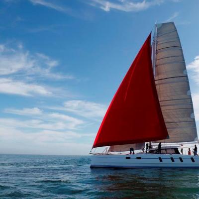 M60 Full Carbon High Performance Sailing Catamaran