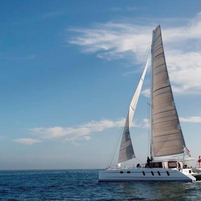 M60 Full Carbon High Performance Sailing Catamaran