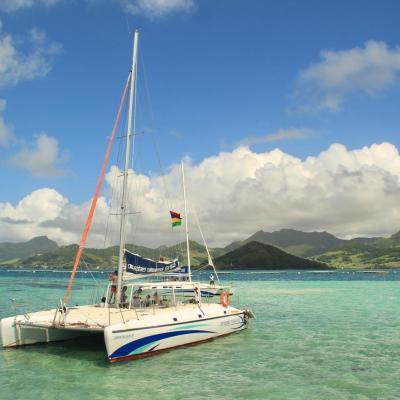 Mauritius wildcat catamarans