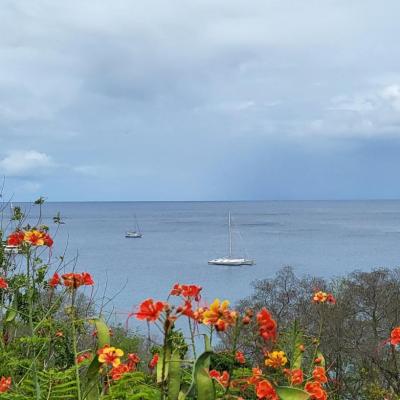 Mouillage en martinique