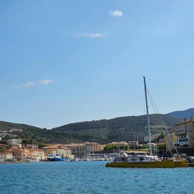 Navi voiles in port vendres