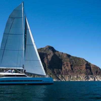 Open Ocean 740 Performance Cruising Catamaran