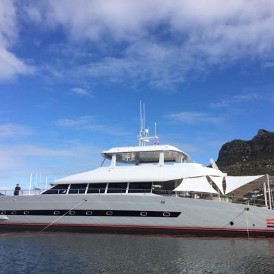 Open Ocean 800 Luxury Expedition Catamaran II Cake