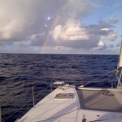 Rainbow catana 431