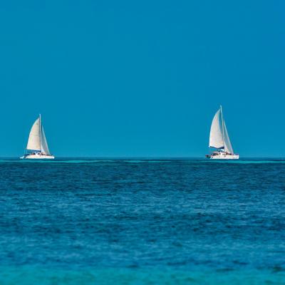 Sails up